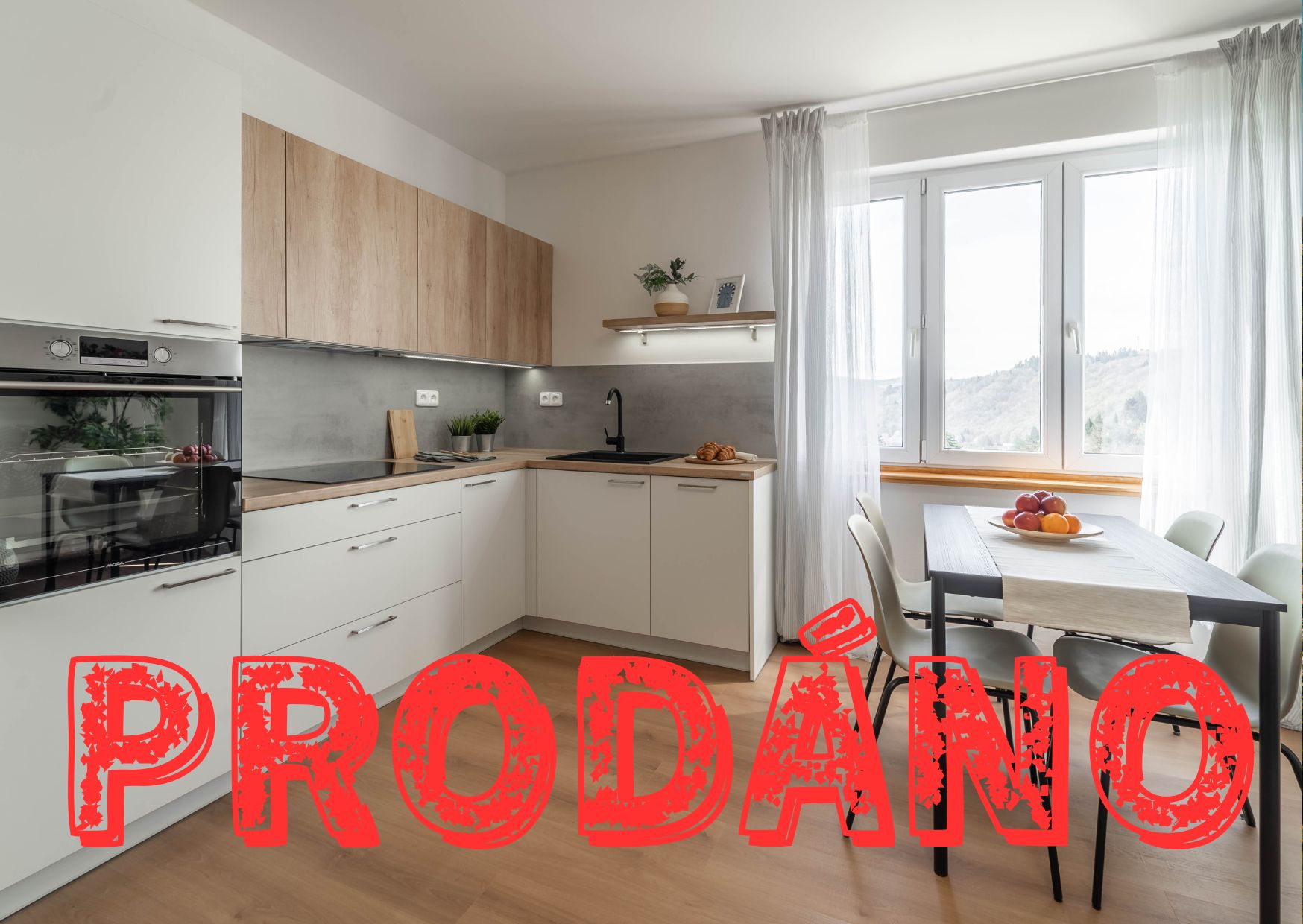 Byt 2+kk s dechberoucím výhledem, ul. Sídliště, Davle